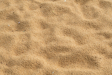 sand background texture, nature desert
