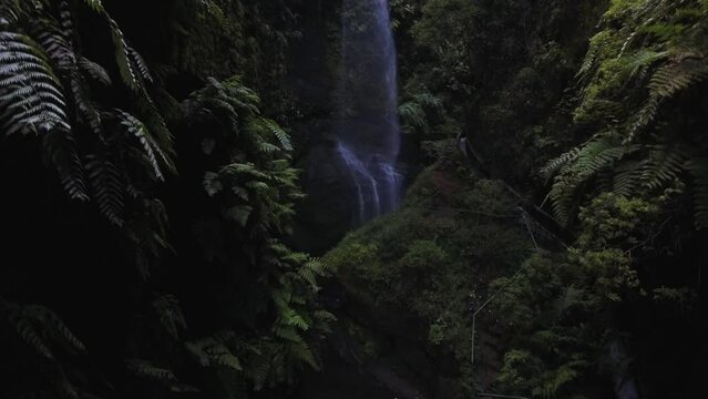 Aerial drone footage of secret tropical jungle waterfall flowing in rainforest. In picture you can see a lot of green and vital nature elements: palm and tree leafs, lianas plants.
