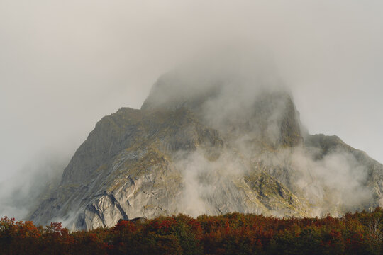 Berg und Wald im Nebel