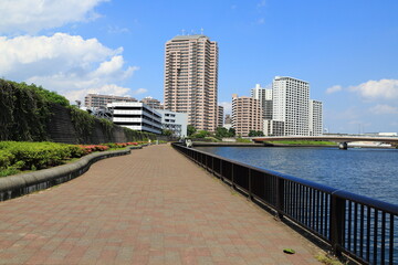 隅田川テラスの広い遊歩道とマンション群