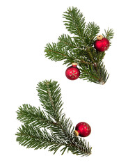 Fototapeta na wymiar Christmas Fir twigs isolated transparent background, PNG. Xmas decoration, fresh pine branch and red bauble.