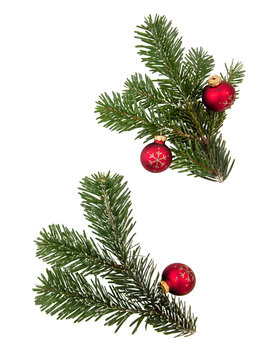 Christmas Fir twigs isolated transparent background, PNG. Xmas decoration, fresh pine branch and red bauble.