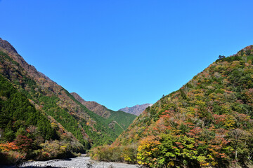 青空と紅葉が始まった山々
