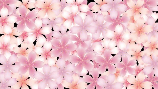 桜の花びらアニメーション