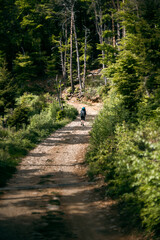 Walking on the path that leads to the top of Mount Berlinghera, Northern Italy