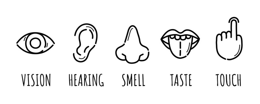 Hand drawn simple icons representing the five senses. Hand drawn doodles. Vector.