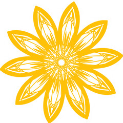 Sunflower blossom vector illustration set. Sunflower, aster, marigold flower illustration design set. Yellowish color