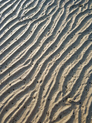 Wavy surface of the sandy ocean floor near the shore at low tide