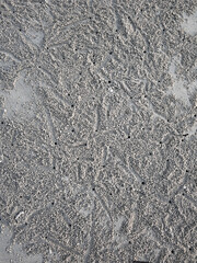 Wavy surface of the sandy ocean floor near the shore at low tide