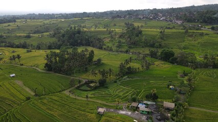 Bali, Indonesia - November 13, 2022: The Jatiluwih and Sidemen Terrace Rice Fields