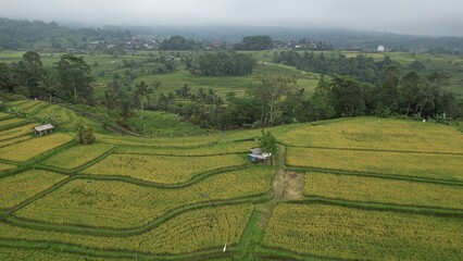 Fototapeta na wymiar Bali, Indonesia - November 13, 2022: The Jatiluwih and Sidemen Terrace Rice Fields