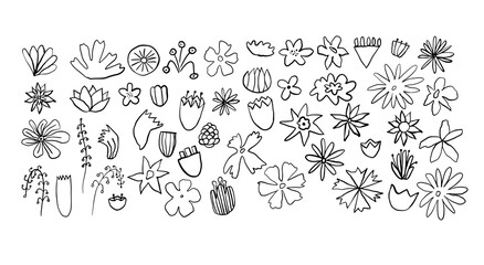 Black abstract doodle set of floral shapes, hand-drawn scandinavian flower illustrations on white background