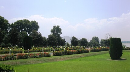 Mogul Garden, Kashmir