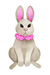 Cute sitting bunny in pretty pink collar. Hand drawn Easter baby rabbit character isolated on a white background. Watercolor symbol of Chinese new year 2023. Lovely pet toy illustration for postcard 