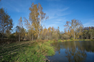 Fototapeta na wymiar AUTUMN FOREST ON A CLEAR SUNNY DAY IN RUSSIA