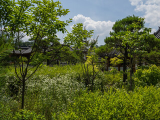 The street view of Eunpyeong Hanok Village in South Korea
