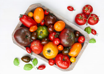 Bunte Tomaten-Vielfalt in einer Holzschale