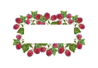 Frame with raspberries. Watercolor illustration. For inscriptions, postcards and invitations. For menus,labels.