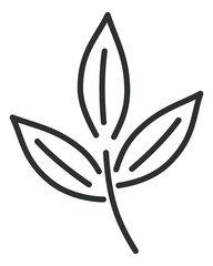 Tree leaf icon. Black line foliage symbol