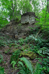 früherer steinbruch 