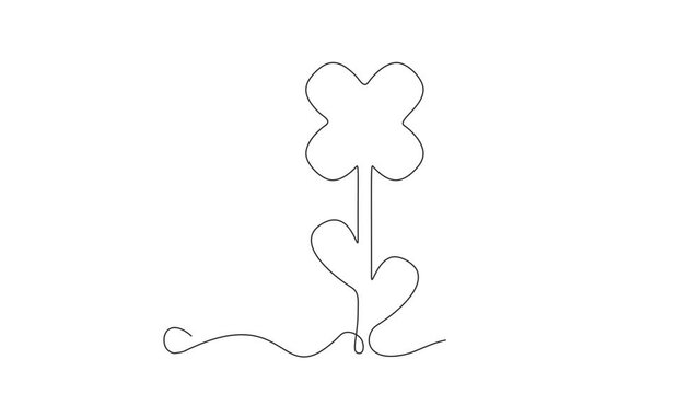 Continuous Thin Line Flower Drawing Animation, Minimalist Botanical Drawing, One Line Art Flowering Blossom Animated Illustration, Single Floral Outline, Simple Plant Draw