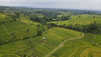 Fototapeta na wymiar Bali, Indonesia - November 13, 2022: The Jatiluwih and Sidemen Terrace Rice Fields