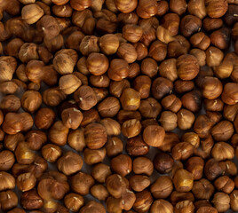 Culinary background with round peeled nuts. Hazelnut photographed from above.