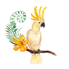Tropical parrot Cockatoo © khudoliy