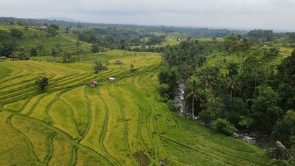 Bali, Indonesia - November 13, 2022: The Jatiluwih and Sidemen Terrace Rice Fields