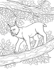 Vector illustration of a lynx on an oak tree against a background of foliage. A sketch with an animal on a tree. Outline drawing for coloring books for adults with nature.
