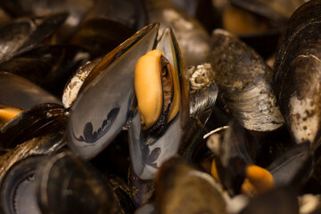 Close up on cooked mussels inside an industrial kitchen, no people are visible. - 547170316