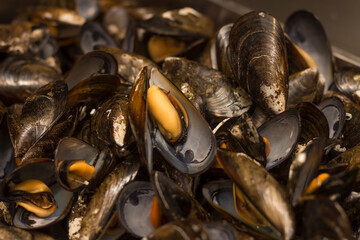Close up on cooked mussels inside an industrial kitchen, no people are visible. - 547170389