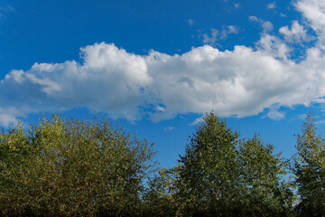 sky and clouds
