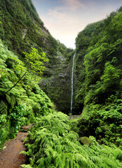 Fototapeta premium Madeira - Beautiful waterfall in the end of Levada Caldeirao Verde, green rain forest jungle