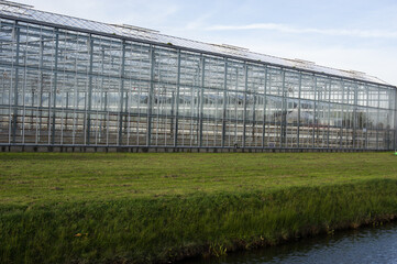 Fototapeta na wymiar Glass greenhouse for growing flowers in the Netherlands