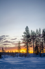 Fototapeta na wymiar Sunset in the winter forest