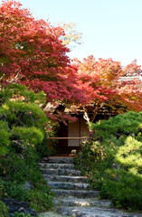 京都 大河内山荘庭園