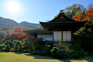 京都 大河内山荘庭園