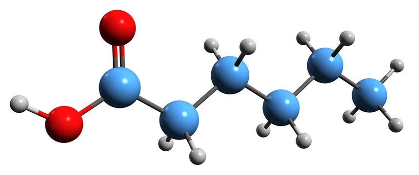  3D image of Caproic acid skeletal formula - molecular chemical structure of Hexanoic acid isolated on white background

