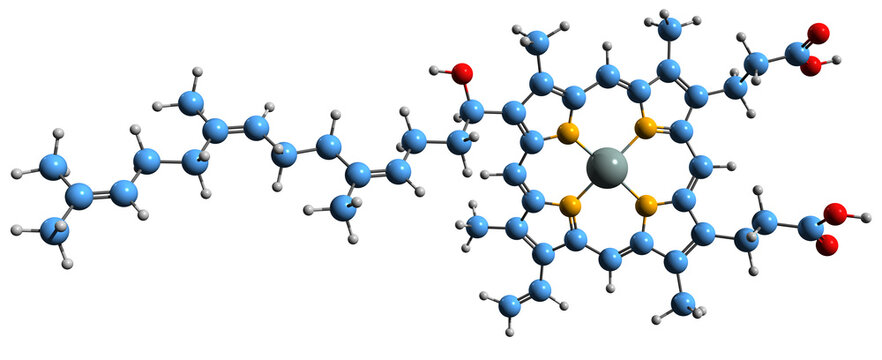  3D image of Heme O skeletal formula - molecular chemical structure of porphyrin isolated on white background

