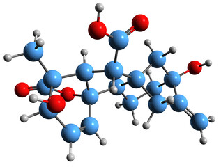 3D image of Gibberellic acid skeletal formula - molecular chemical structure of phytohormone isolated on white background