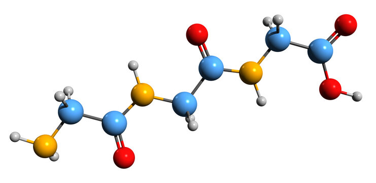 الگوپپتاید (Oligopeptide)