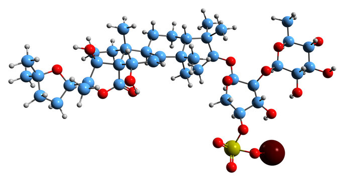3D image of Holothurin B skeletal formula - molecular chemical structure of triterpene glycoside isolated on white background