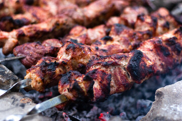 shish kebab on the grill