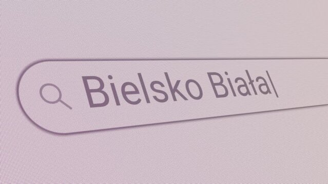 Search Bar Bielsko Biala 
Close Up Single Line Typing Text Box Layout Web Database Browser Engine Concept