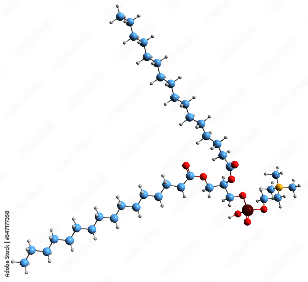 Wall mural  3D image of Dipalmitoylphosphatidylcholine skeletal formula - molecular chemical structure of  phospholipid DPPC isolated on white background
