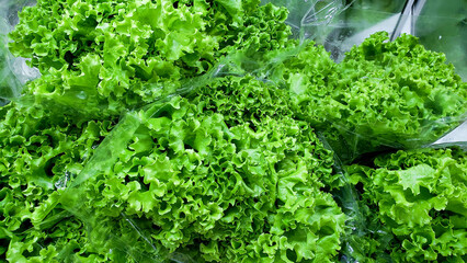 fruits and vegetables
