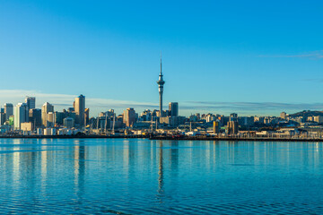 Auckland city