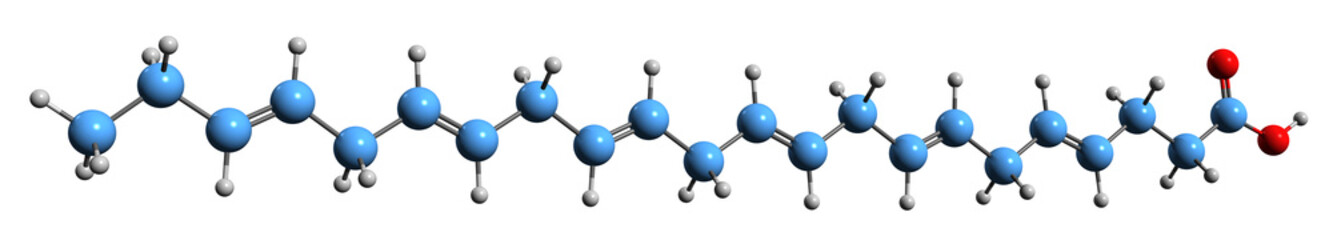 3D image of Docosahexaenoic acid skeletal formula - molecular chemical structure of  omega-3 fatty cervonic acid isolated on white background