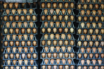 Naklejka premium multiple eggs on a black panel